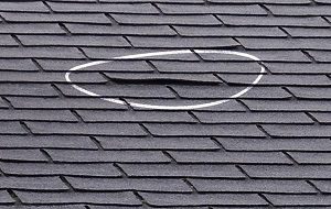 common roof repairs new jersey