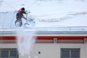 roof snow ice guards new jersey